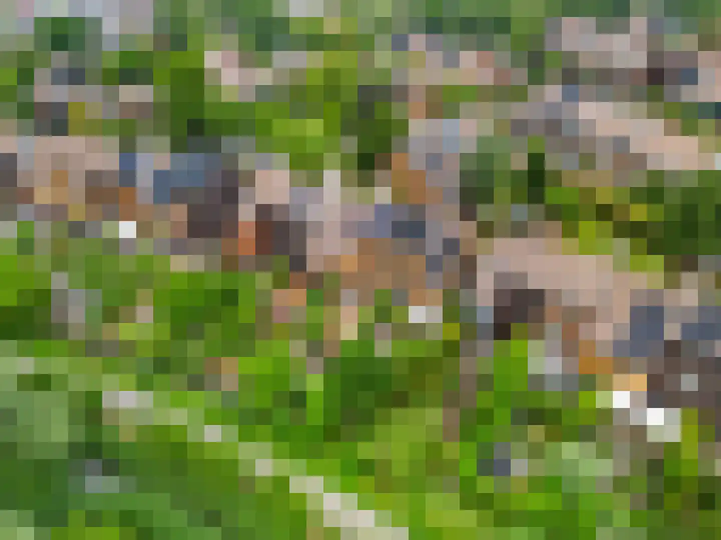 Sierduif 13 Nieuwegein thumbnail 48