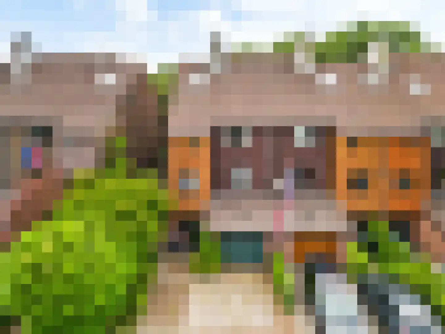 Sierduif 13 Nieuwegein thumbnail 49