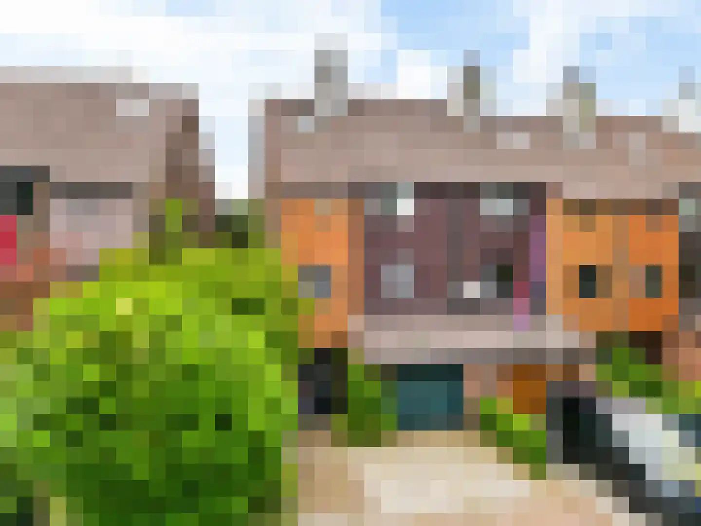 Sierduif 13 Nieuwegein thumbnail 52