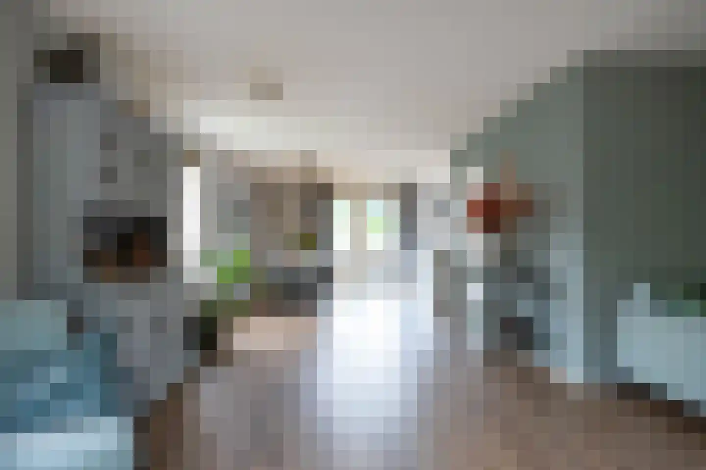 Sierduif 24 Emmen thumbnail 10