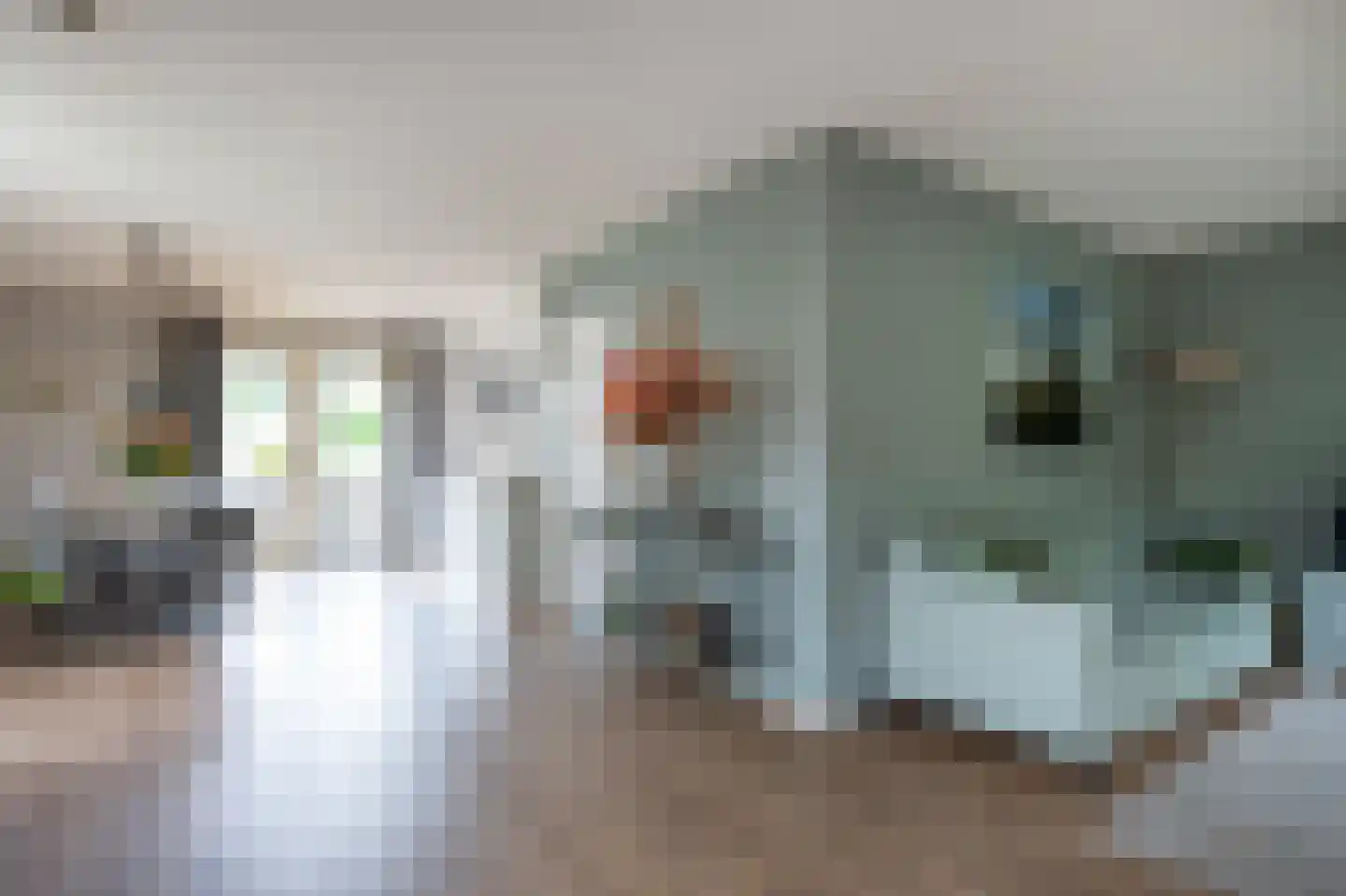 Sierduif 24 Emmen thumbnail 11