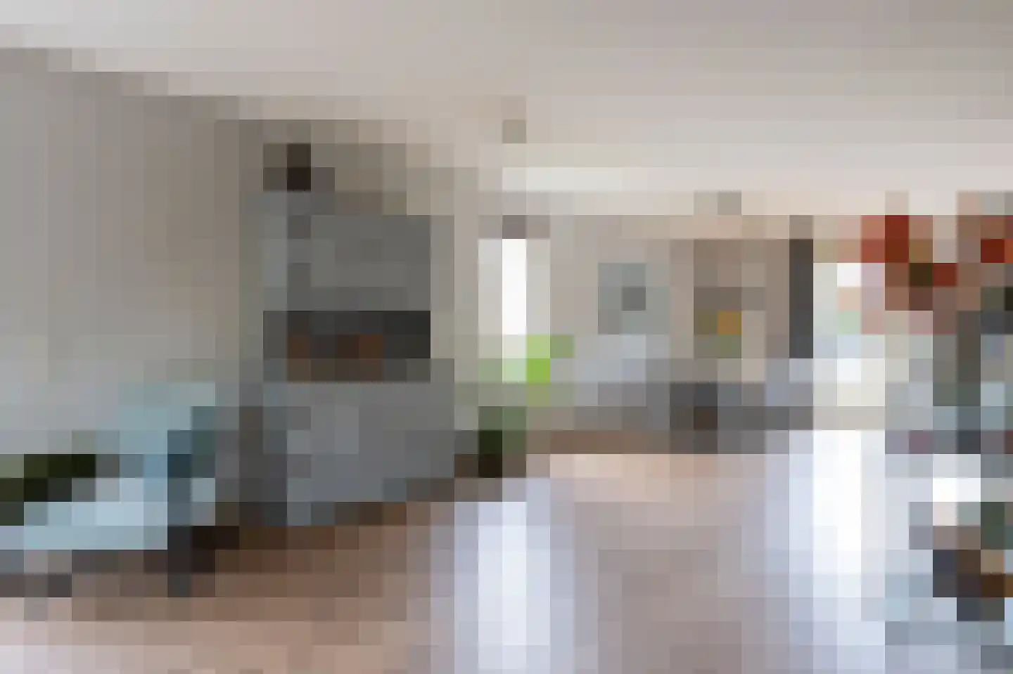 Sierduif 24 Emmen thumbnail 12
