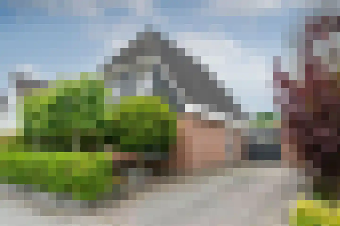 Sierduif 24 Emmen thumbnail 25