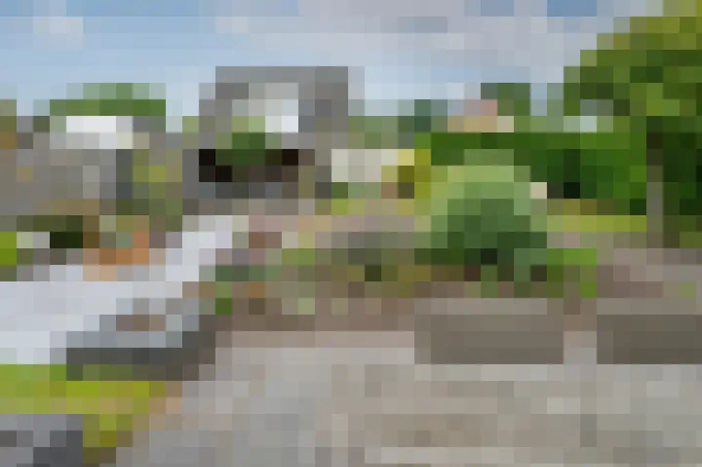 Sierduif 24 Emmen thumbnail 26