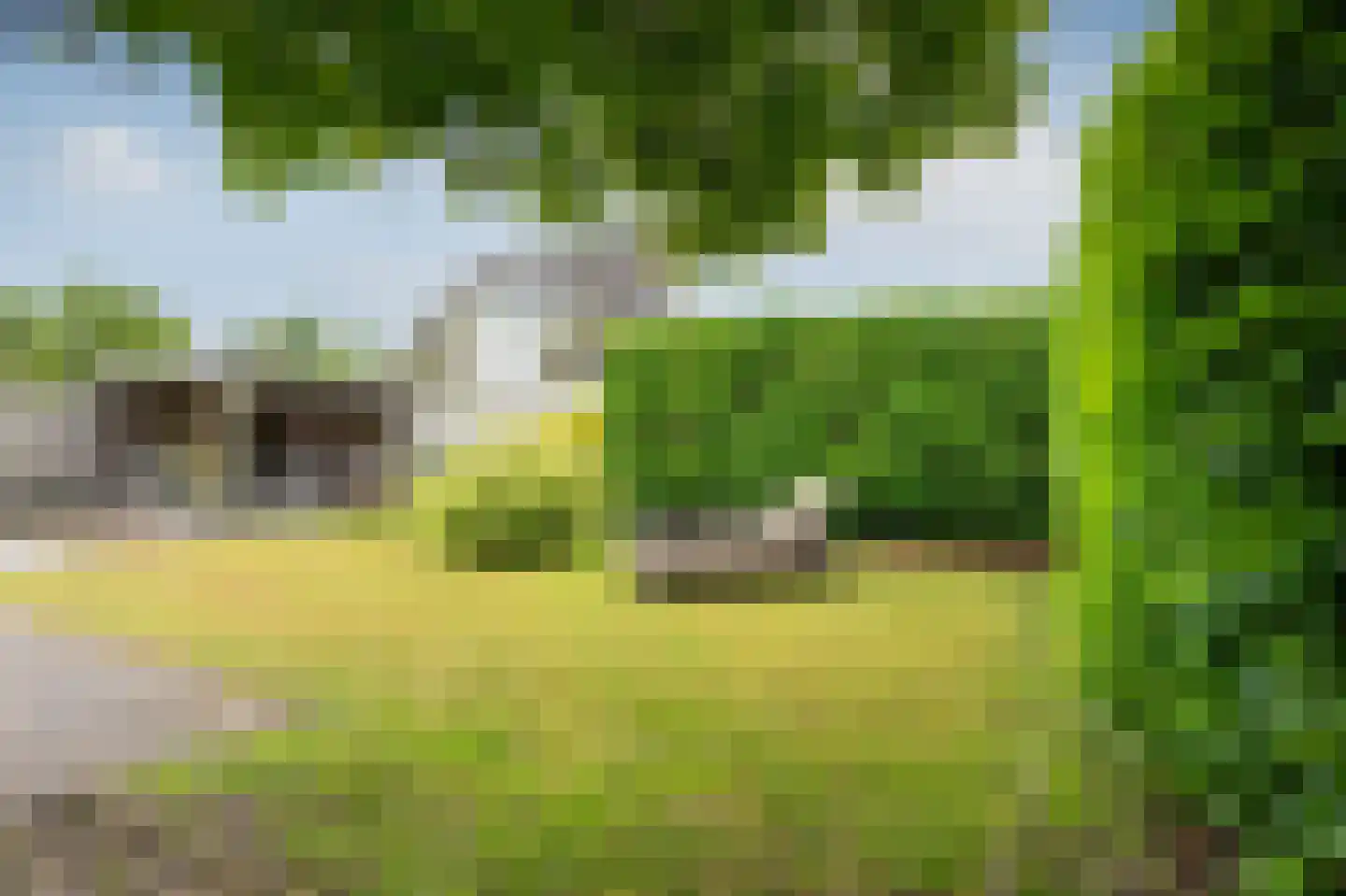 Sierduif 24 Emmen thumbnail 27