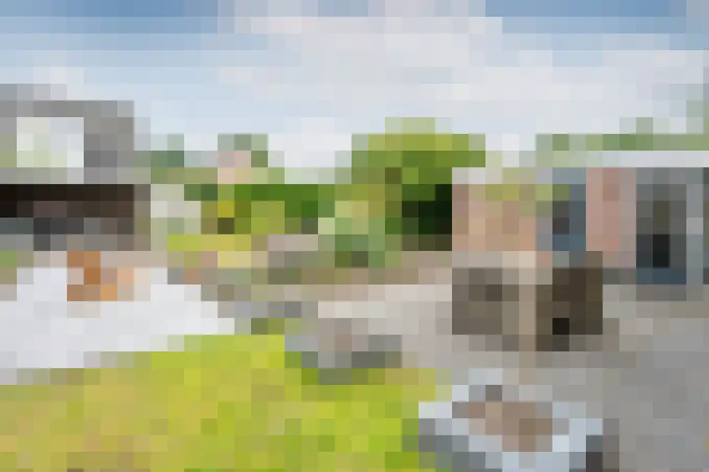 Sierduif 24 Emmen thumbnail 28