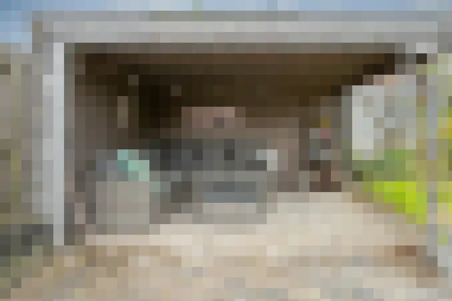 Sierduif 24 Emmen thumbnail 29