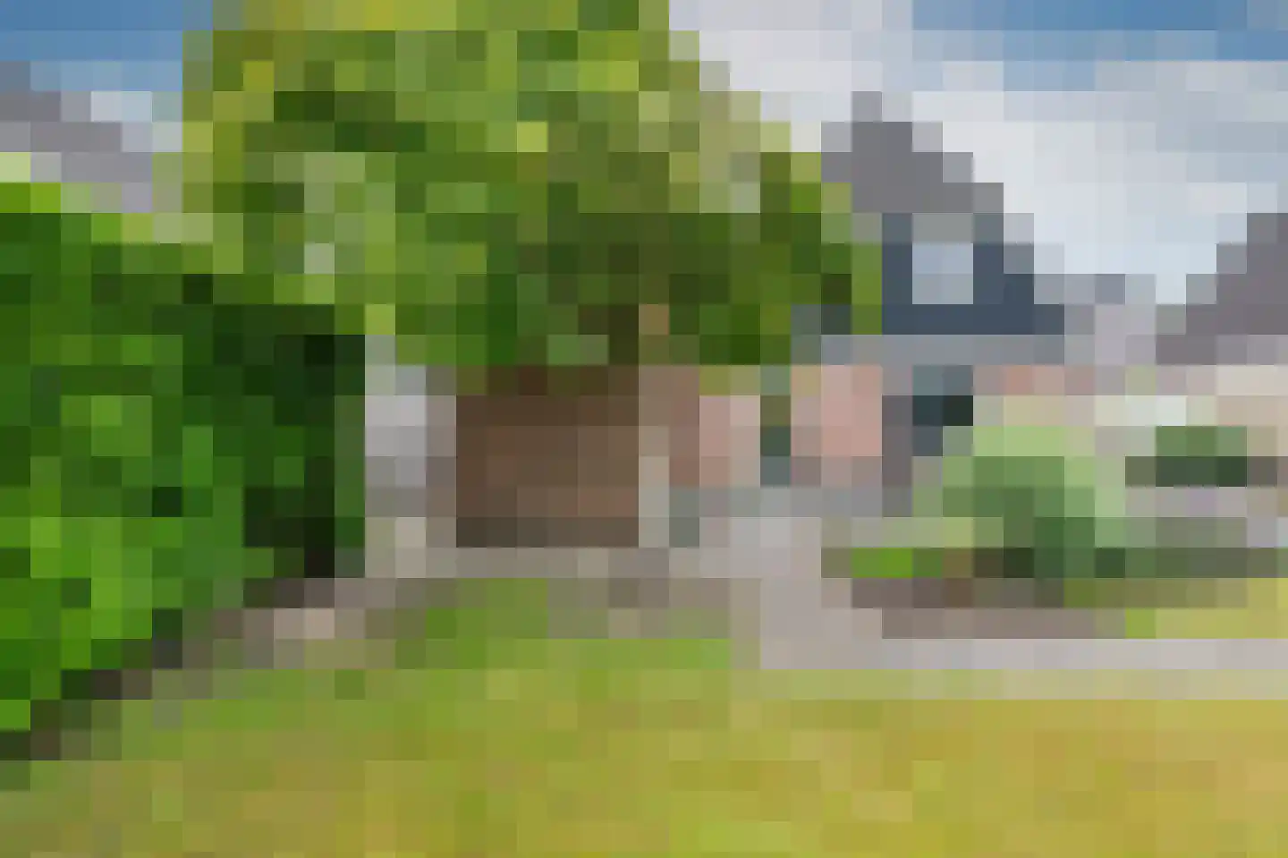 Sierduif 24 Emmen thumbnail 30