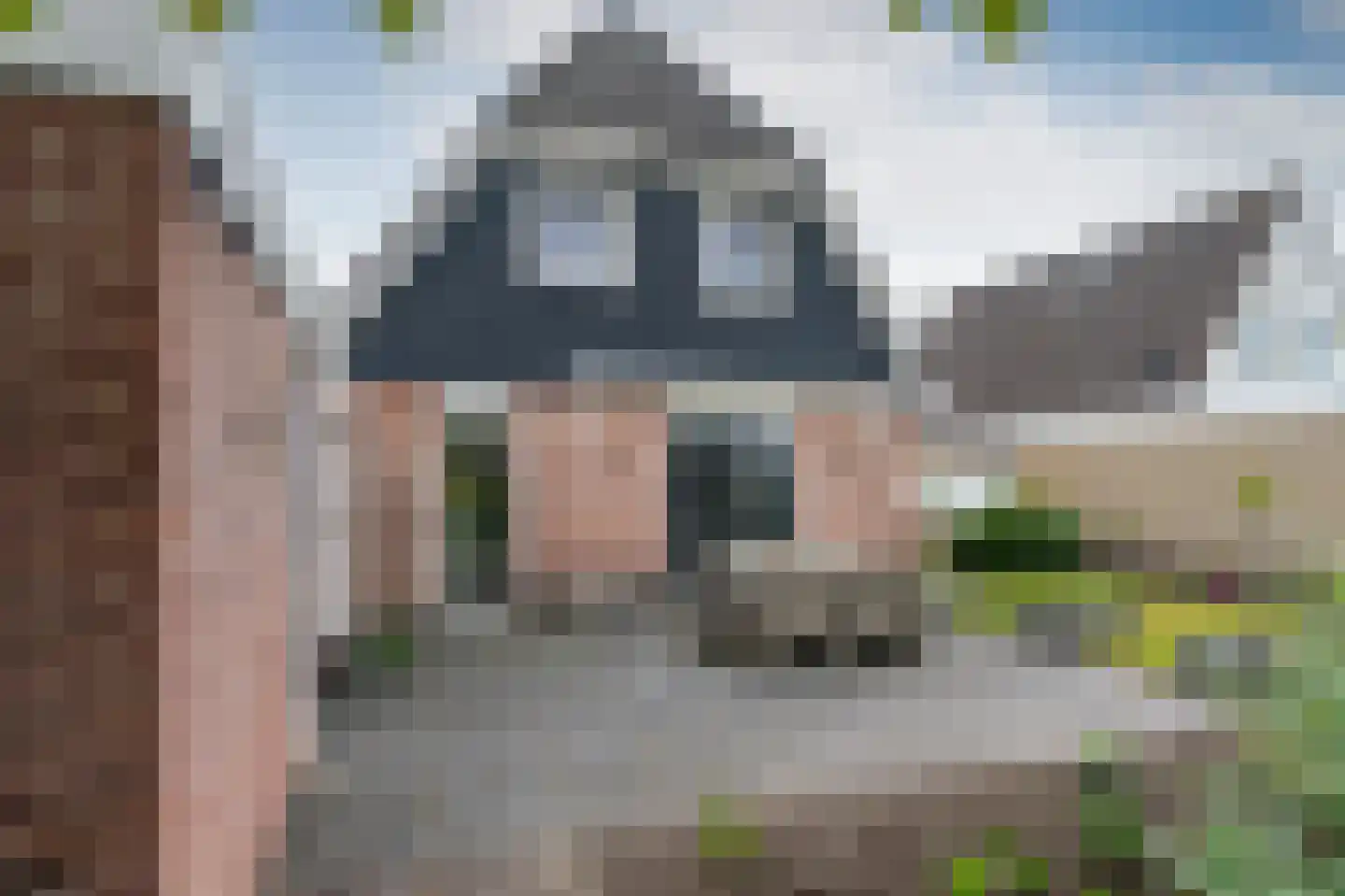 Sierduif 24 Emmen thumbnail 33