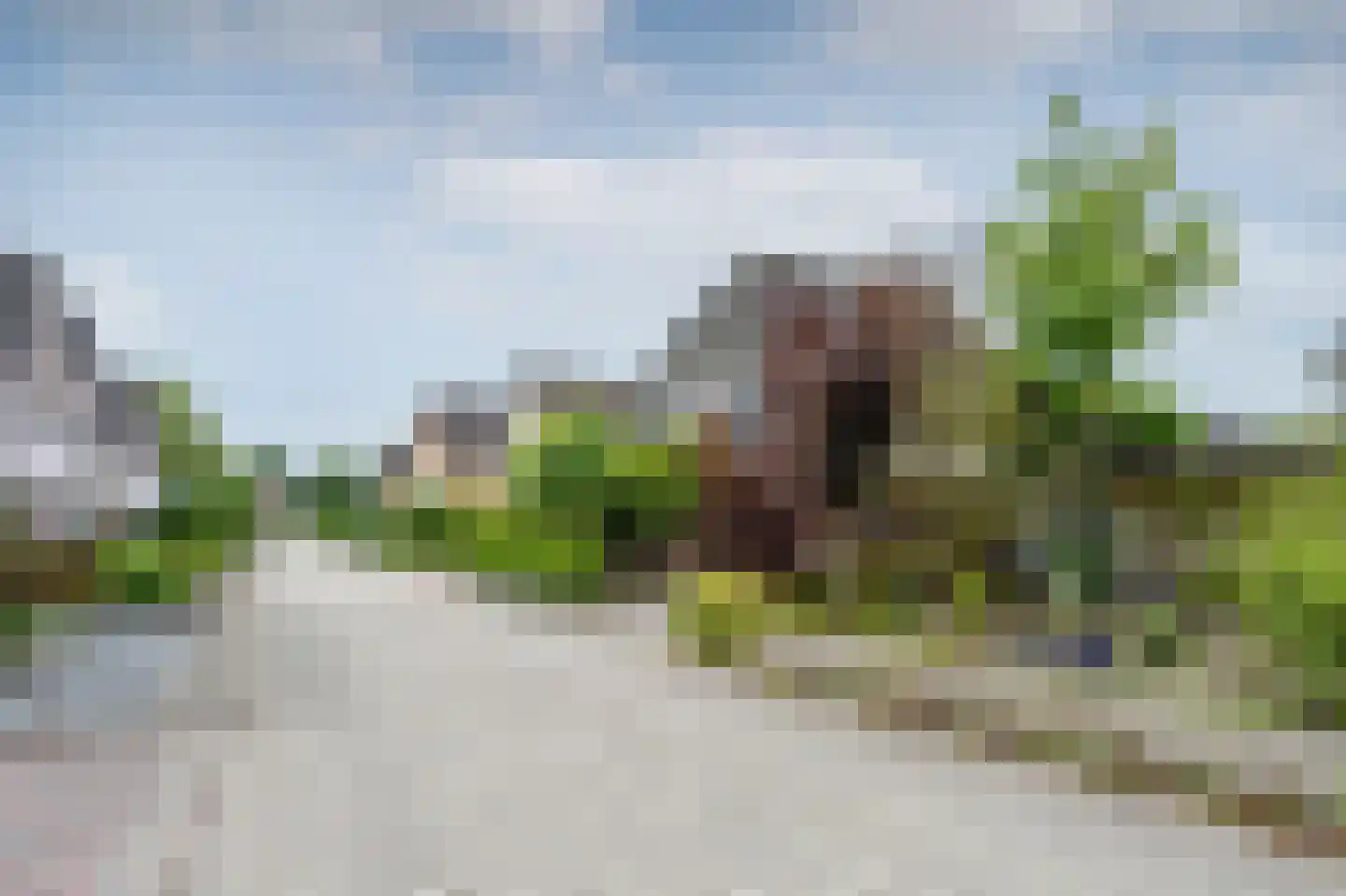 Sierduif 24 Emmen thumbnail 35