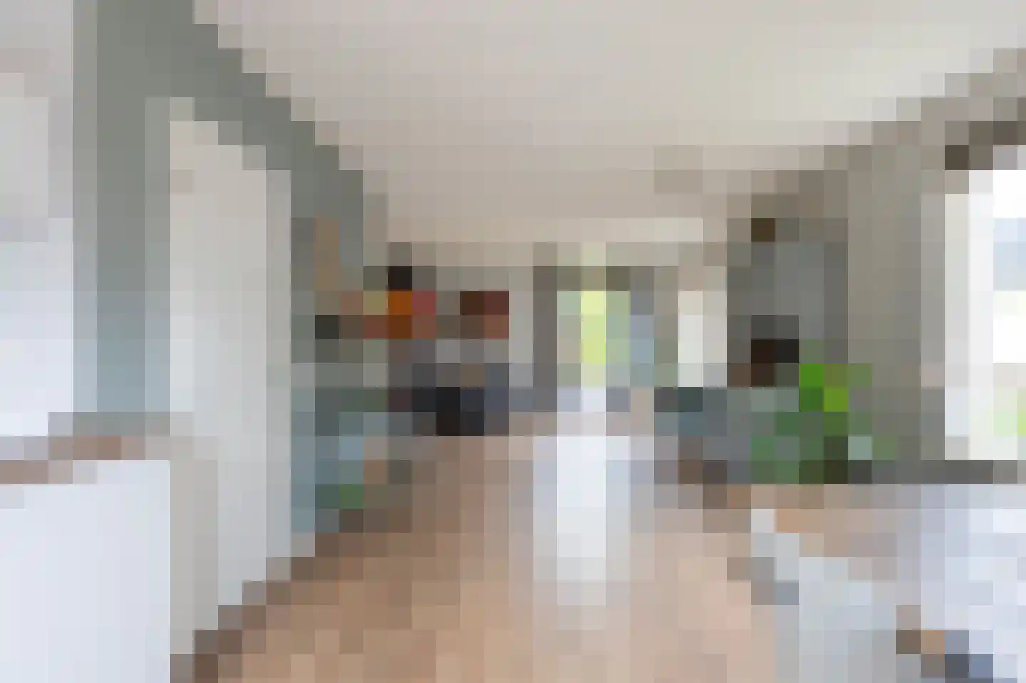 Sierduif 24 Emmen thumbnail 5