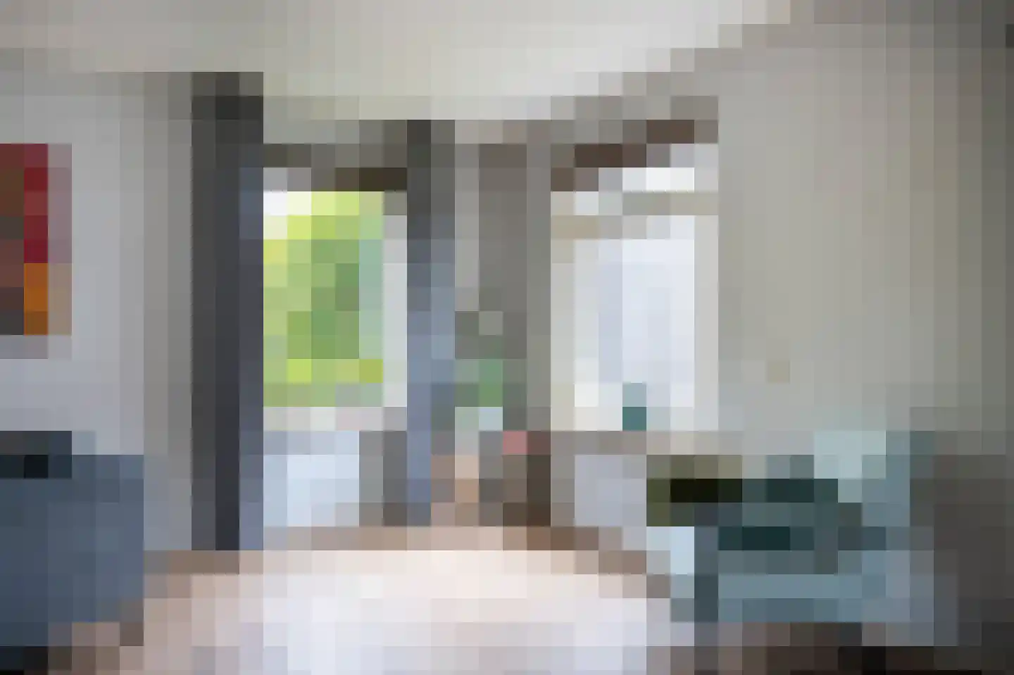 Sierduif 24 Emmen thumbnail 6