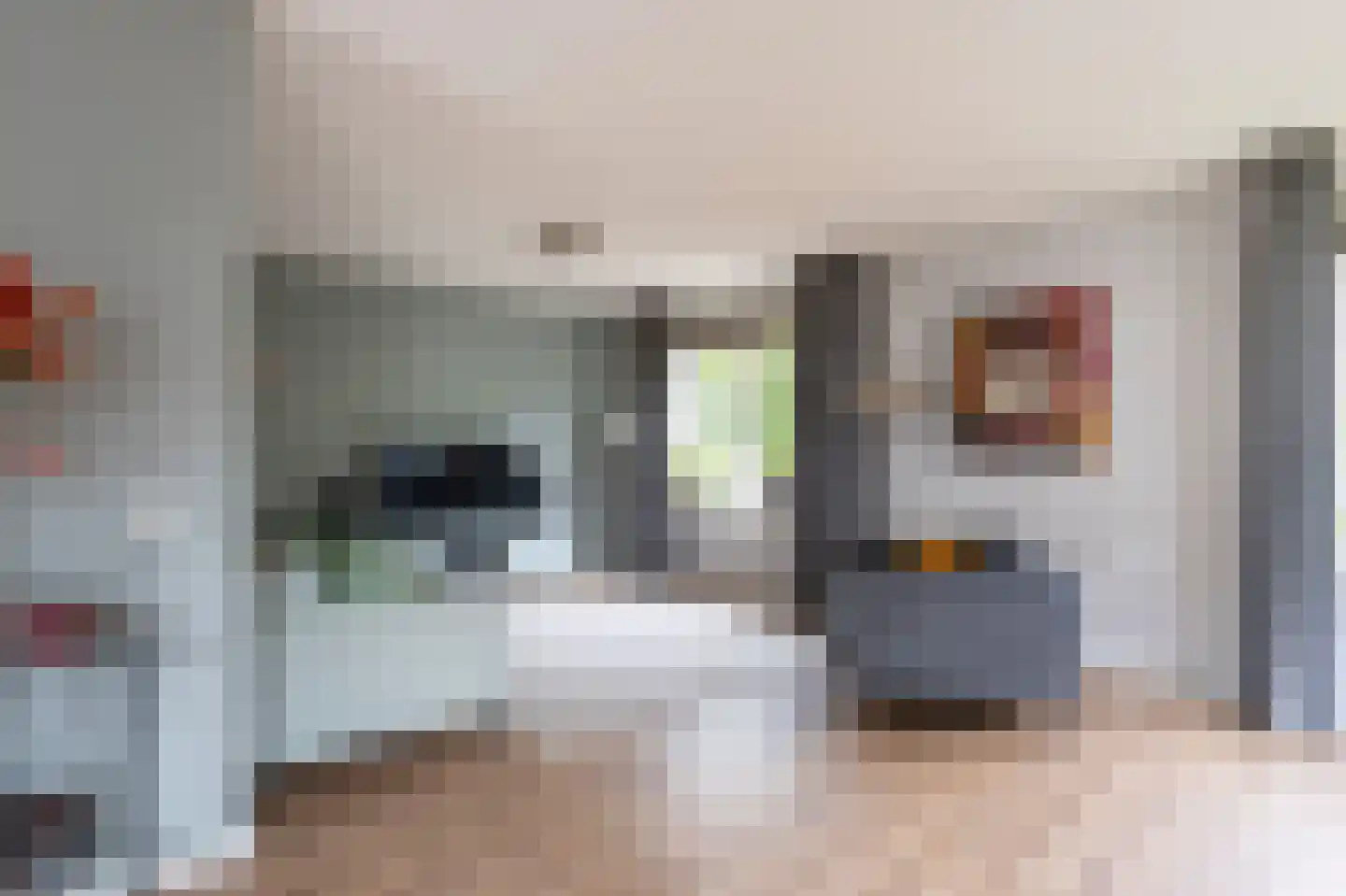 Sierduif 24 Emmen thumbnail 7