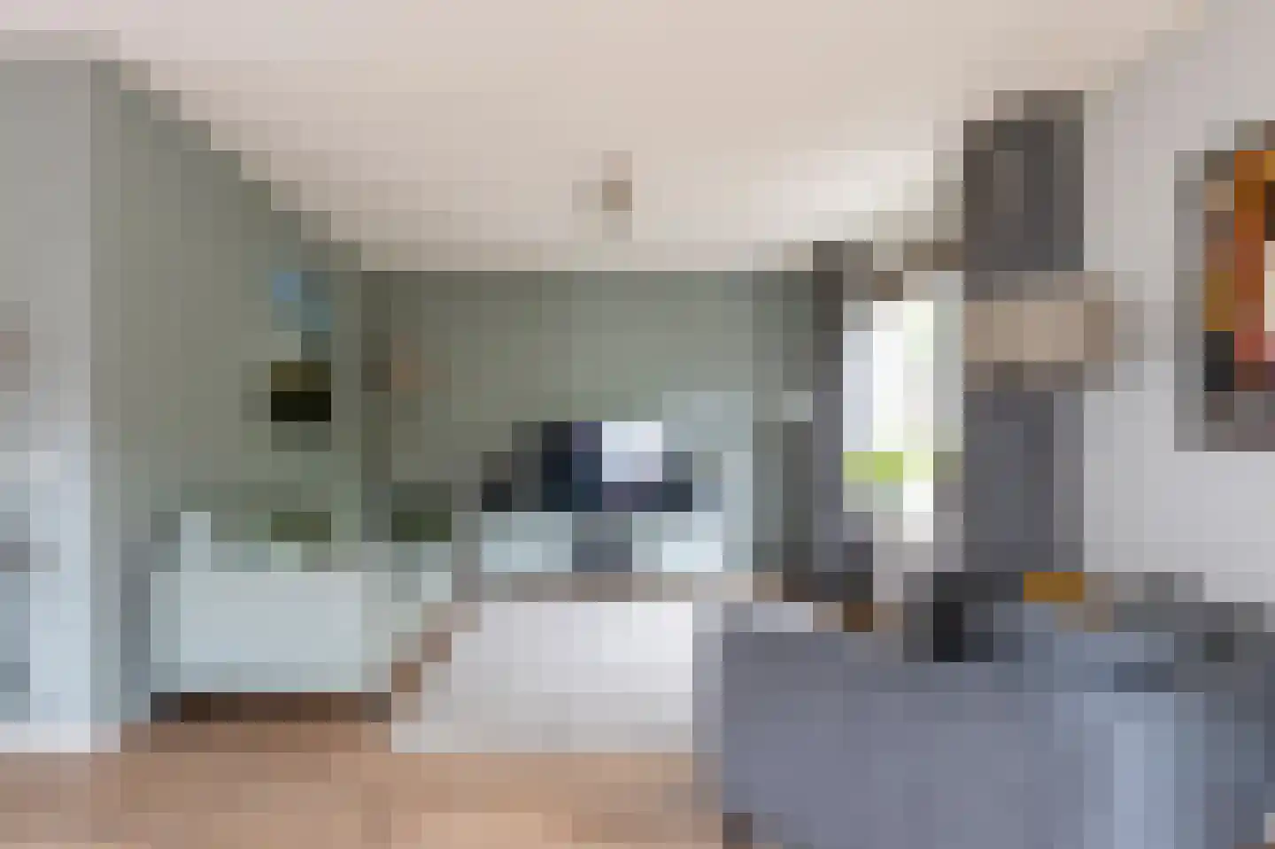 Sierduif 24 Emmen thumbnail 8