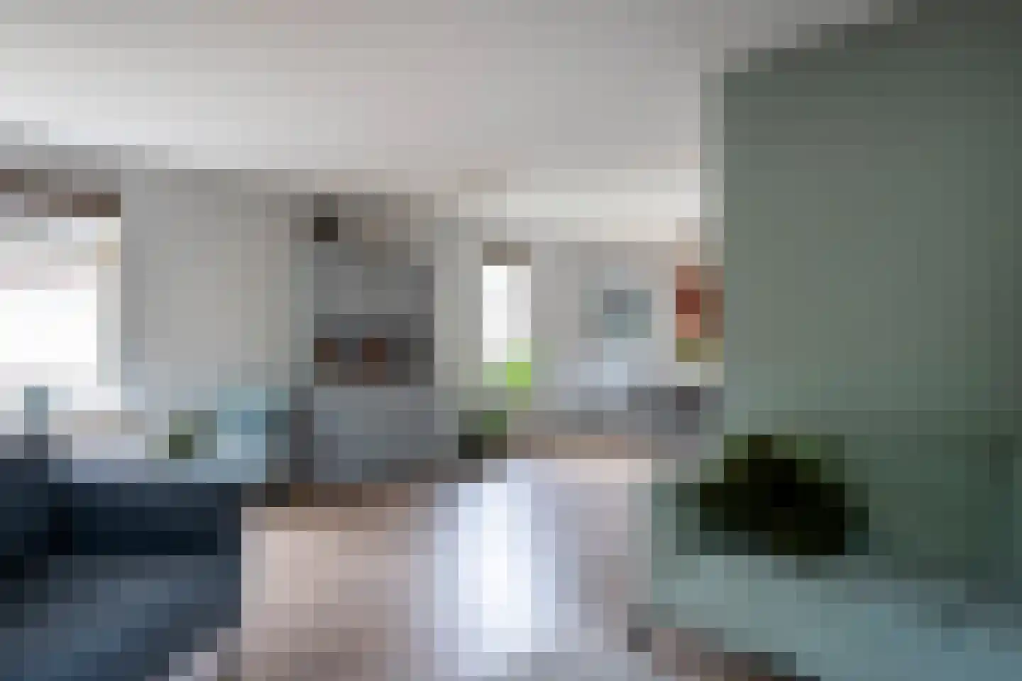 Sierduif 24 Emmen thumbnail 9