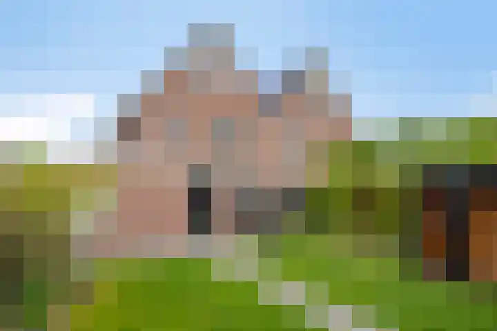 Sierduif 36 Emmen thumbnail 12