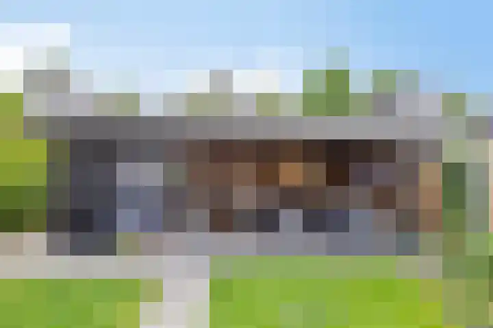 Sierduif 36 Emmen thumbnail 15
