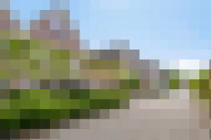Sierduif 36 Emmen thumbnail 16