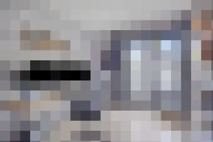 Sierduif 36 Emmen thumbnail 8