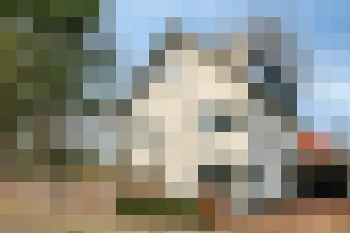 Siereveld 30 en Breda