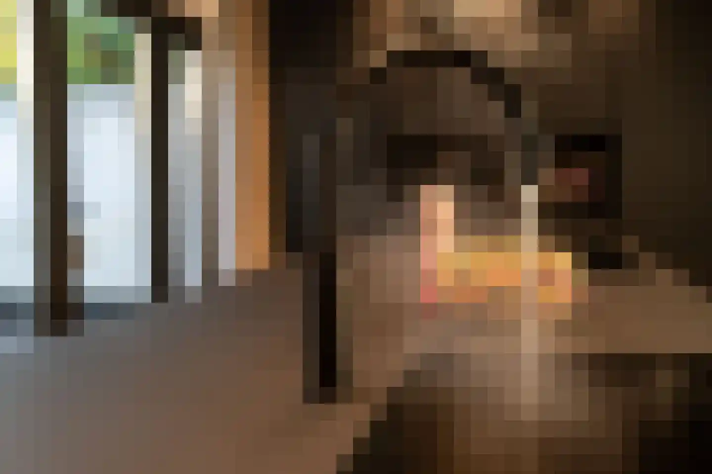 Siereveld 30 Breda thumbnail 17