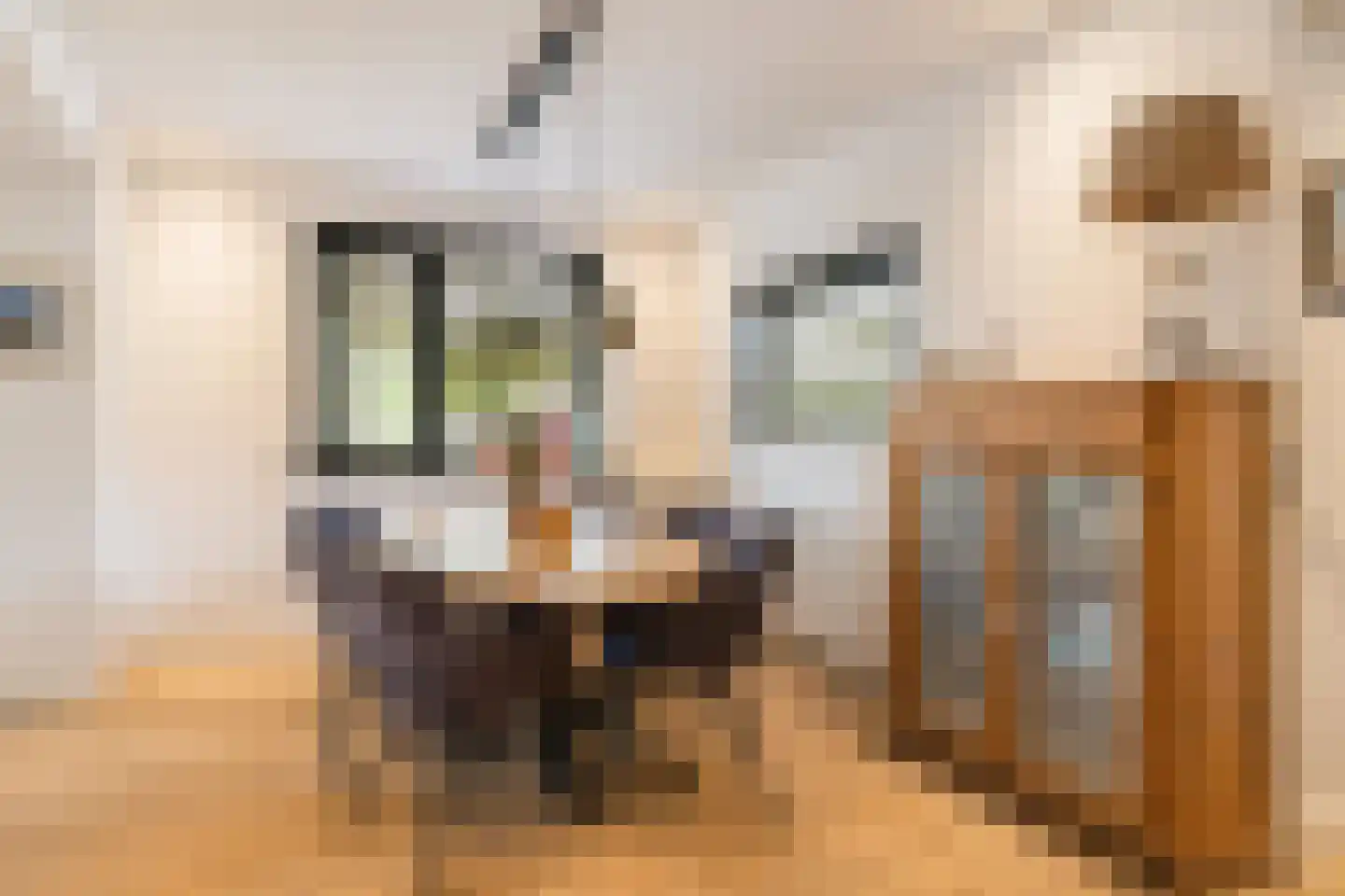 Siereveld 30 Breda thumbnail 21