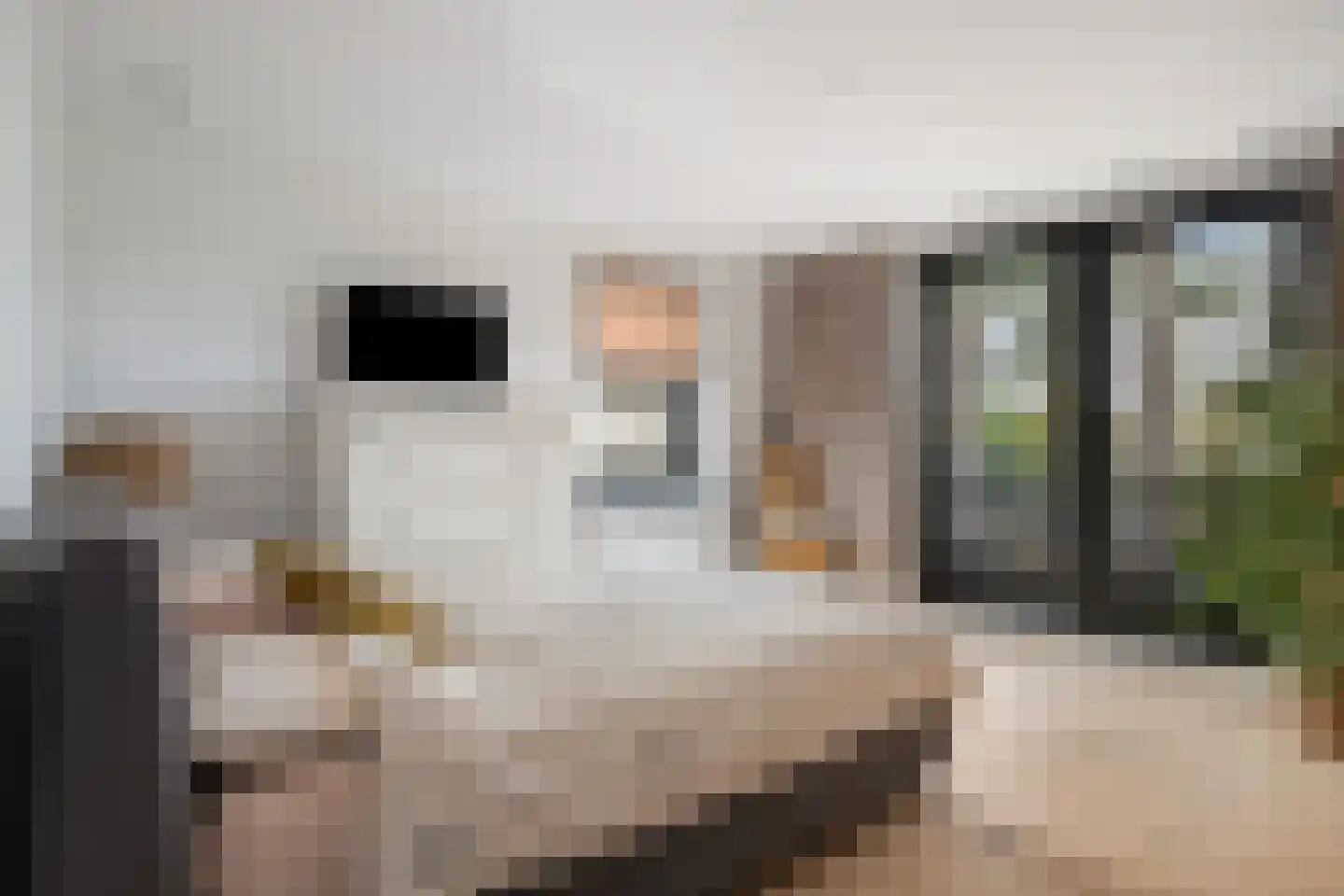 Siereveld 30 Breda thumbnail 23