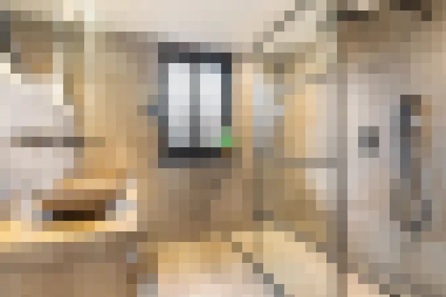 Siereveld 30 Breda thumbnail 29