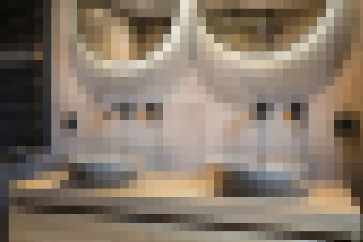Siereveld 30 Breda thumbnail 30