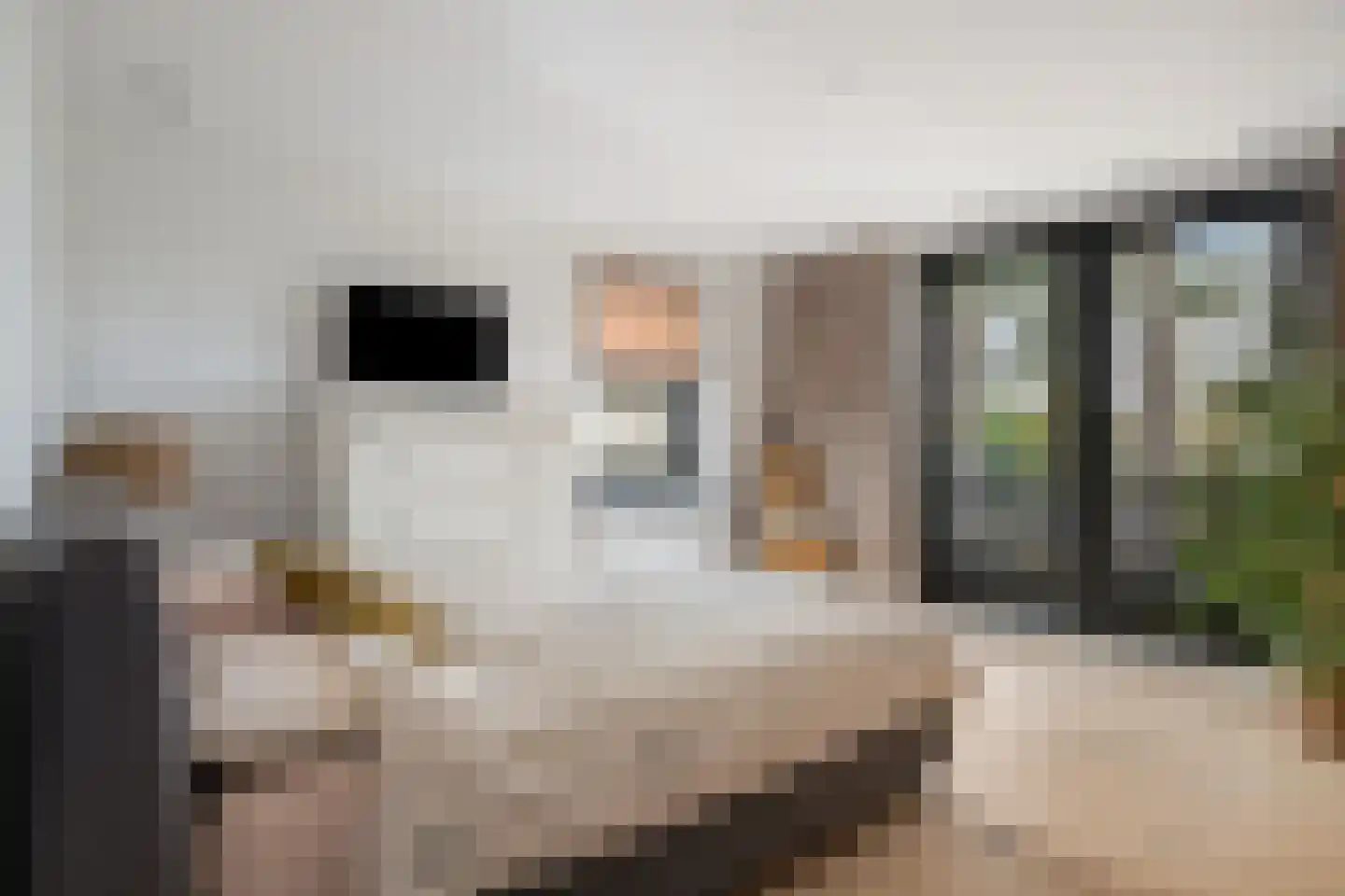 Siereveld 30 Breda thumbnail 35