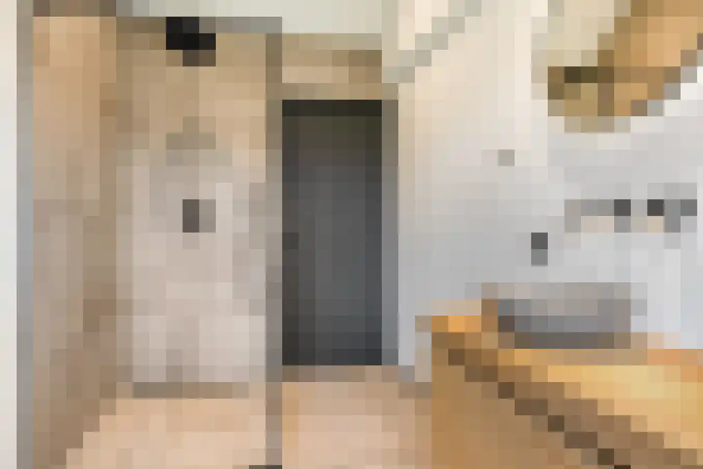 Siereveld 30 Breda thumbnail 38