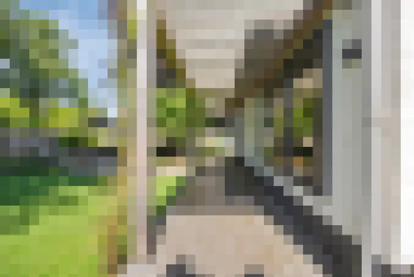 Siereveld 30 Breda thumbnail 46