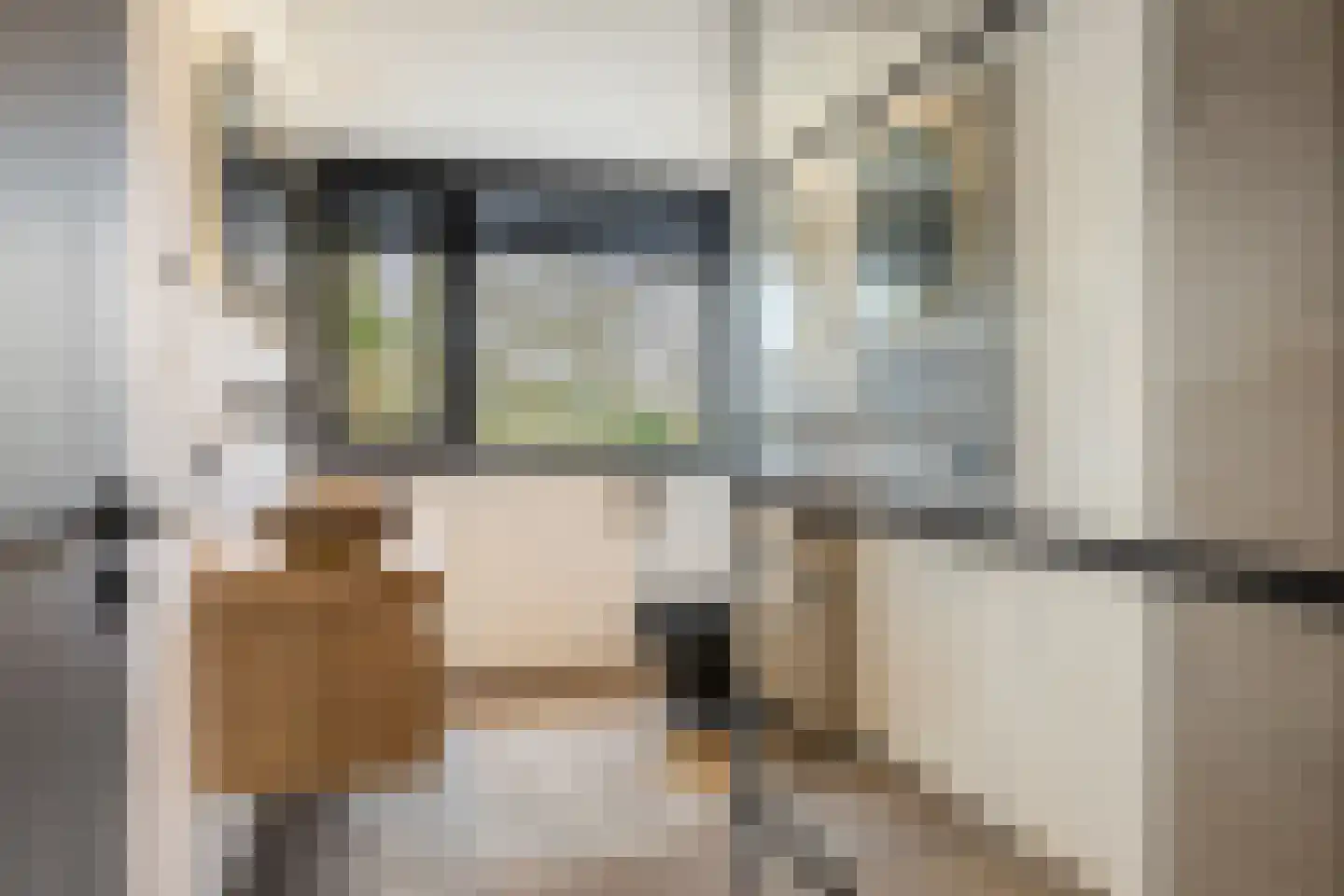 Siereveld 30 Breda thumbnail 5