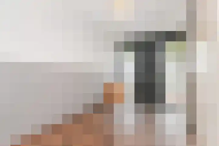 Siergaarde 109 Rijswijk thumbnail 5