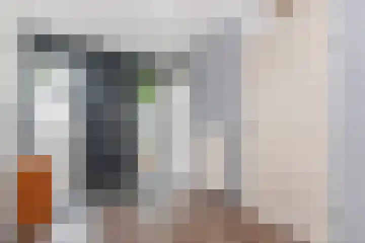 Siergaarde 109 Rijswijk thumbnail 6