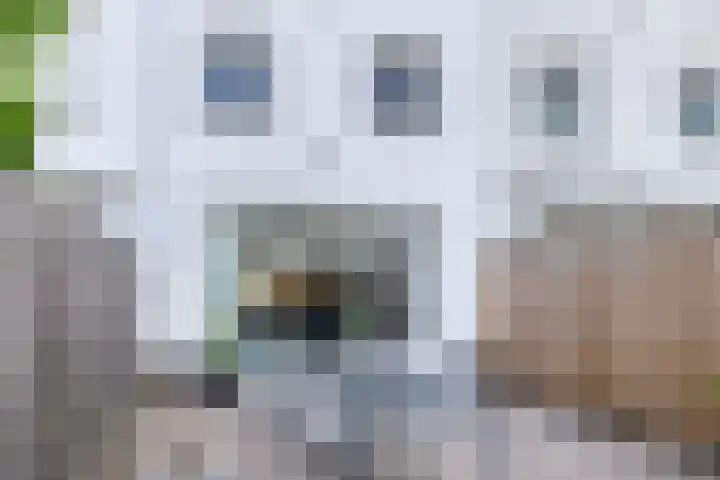 Siergaarde 12 Rijswijk thumbnail 11
