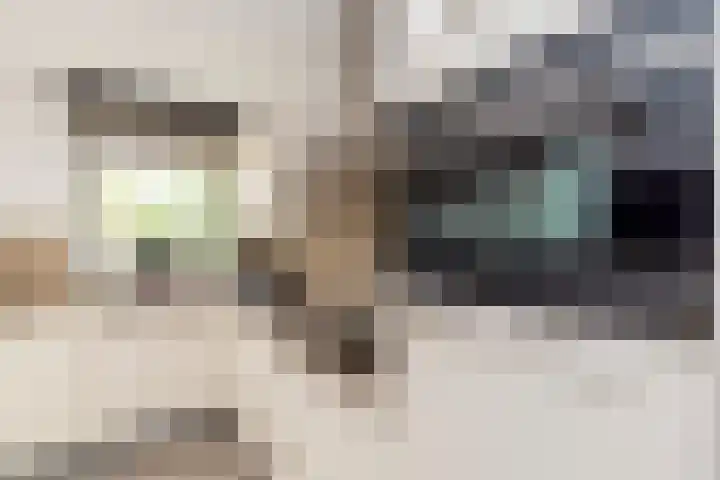 Siergaarde 12 Rijswijk thumbnail 13