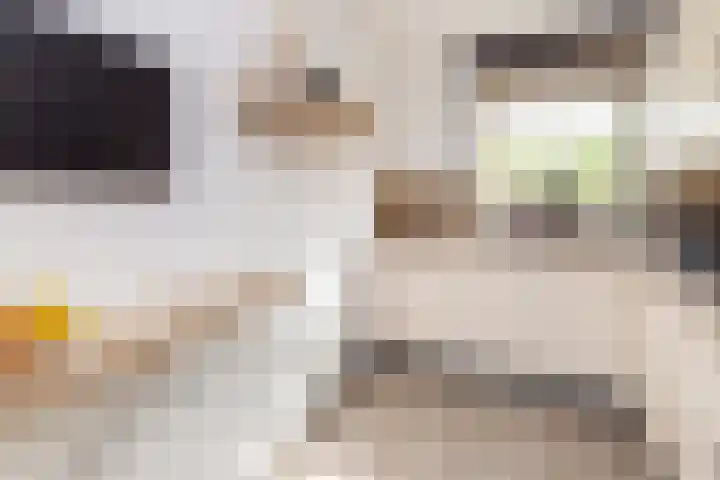 Siergaarde 12 Rijswijk thumbnail 14