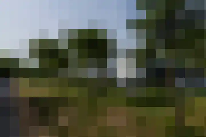 Siergaarde 12 Rijswijk thumbnail 31