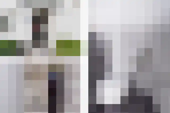 Siergaarde 12 Rijswijk thumbnail 5