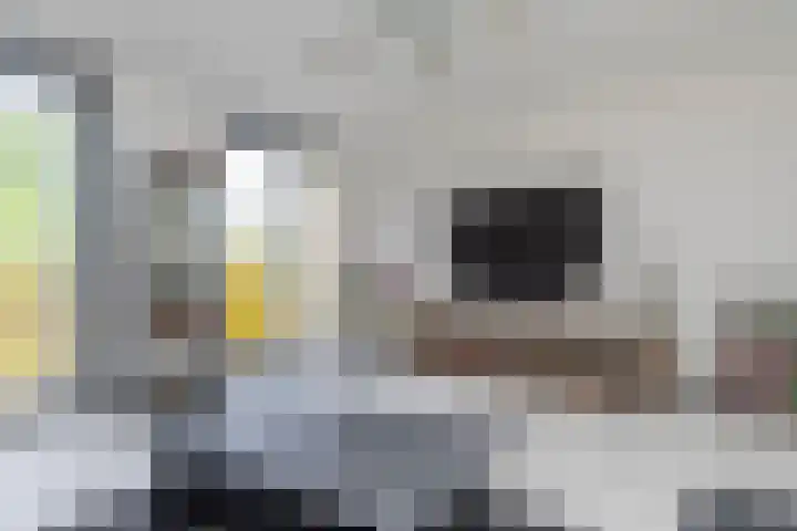 Siergaarde 67 Rijswijk thumbnail 15
