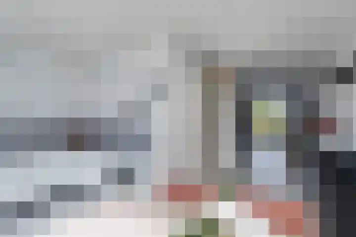 Siergaarde 67 Rijswijk thumbnail 20