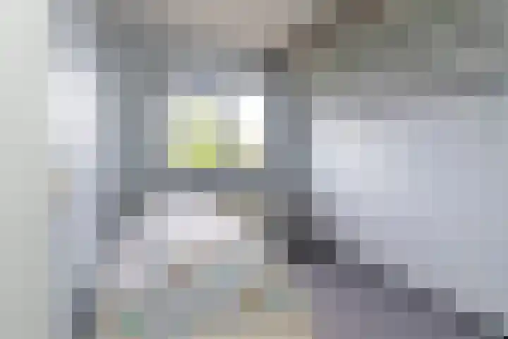 Siergaarde 67 Rijswijk thumbnail 30