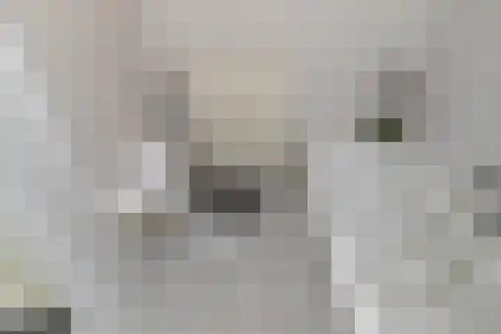 Siergaarde 67 Rijswijk thumbnail 34