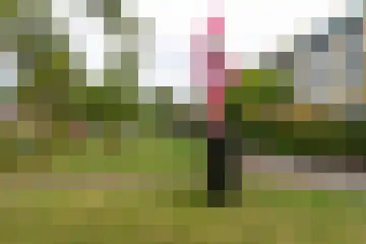 Siergaarde 67 Rijswijk thumbnail 40