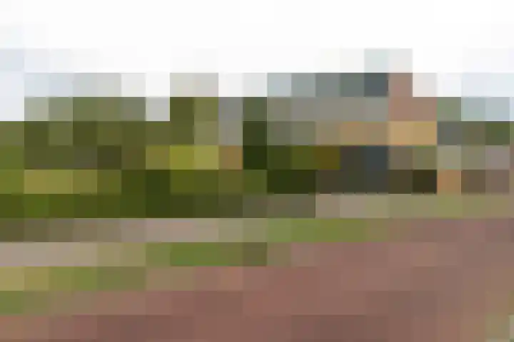 Siergaarde 67 Rijswijk thumbnail 41