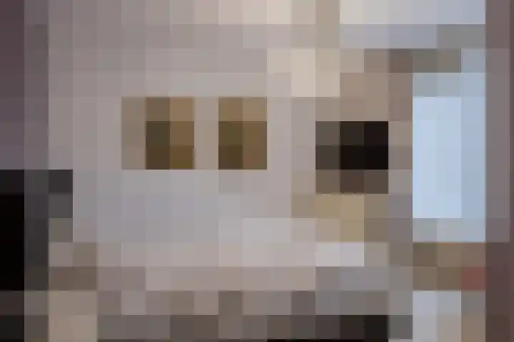 Sierheuvel 10 Best thumbnail 28