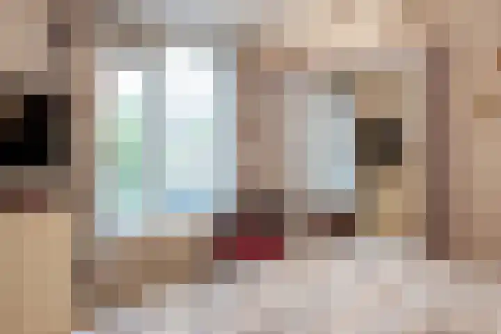 Sierheuvel 10 Best thumbnail 29