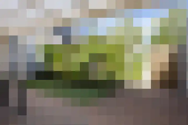 Sierheuvel 10 Best thumbnail 33