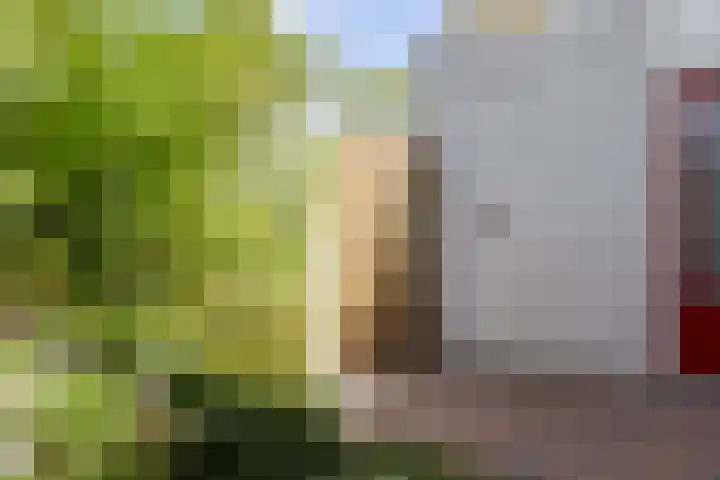 Sierheuvel 10 Best thumbnail 38